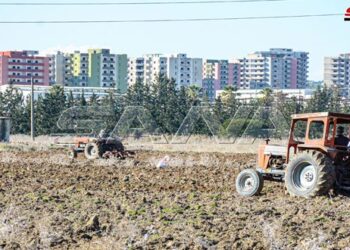 تنفيذ 88 بالمئة من خطة زراعة القمح