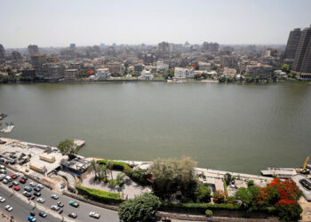 فريق طبي يستخرج جنينا من بطن رضيعة عمرها 7 أيام