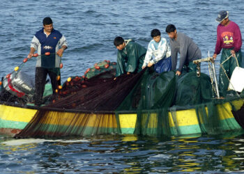 التنوع البيولوجي في سواحل شرق المتوسط والساحل الفلسطيني ينهار