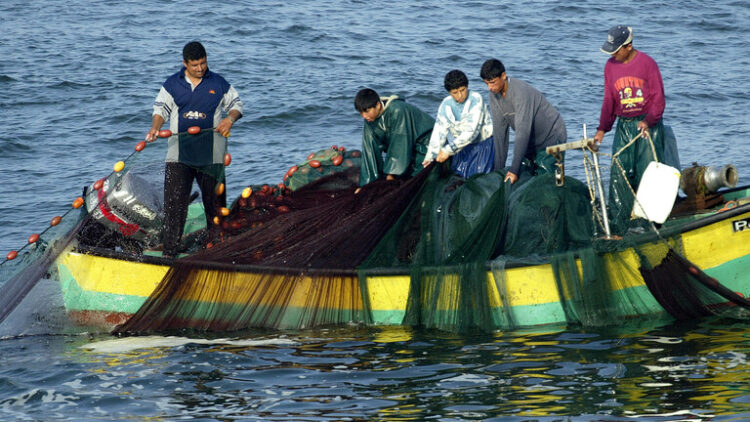 التنوع البيولوجي في سواحل شرق المتوسط والساحل الفلسطيني ينهار