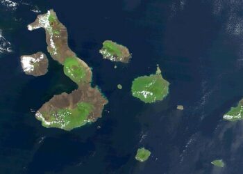 العلماء يحلون لغز النظام البيئي الاستثنائي لجزر غالاباغوس