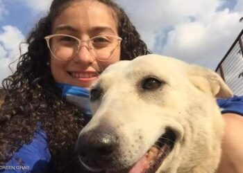 فتيات مصريات يطلقن مبادرة لدعم كلاب وقطط الشوارع