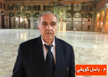 لتشاركية السياسية لبناء الديموقراطية